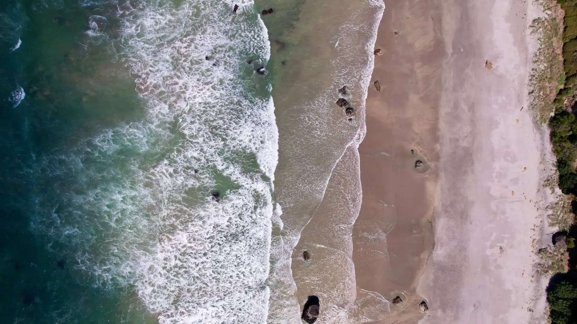 Aerial view of green land meeting the coast